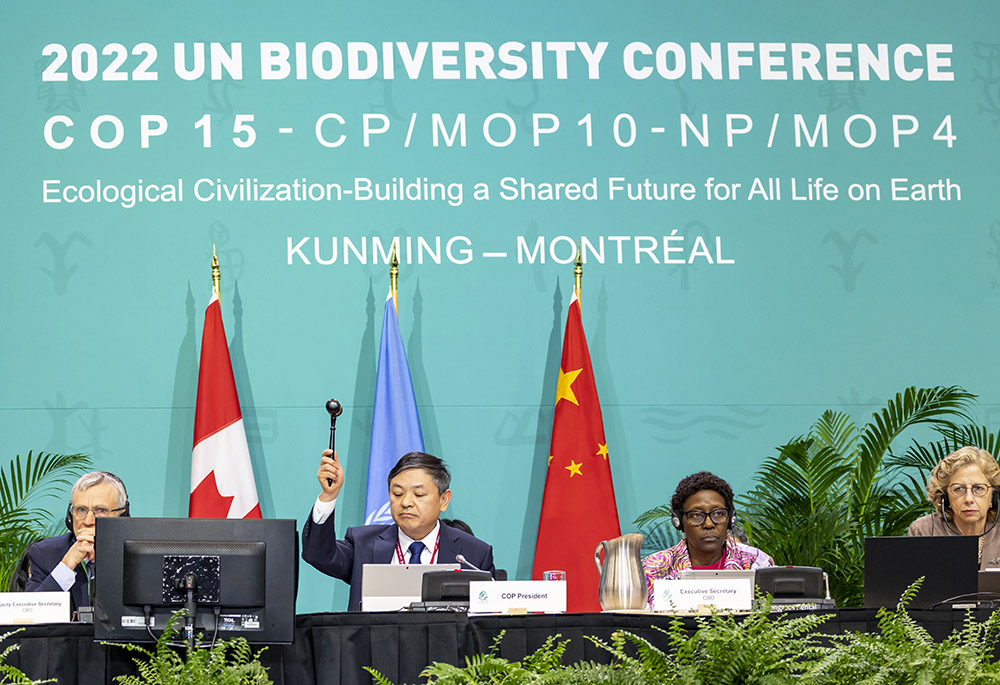 Nations Secure A Historic Biodiversity Deal On Final Day Of COP15 ...